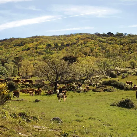 El Cabezo Hotel Eljas