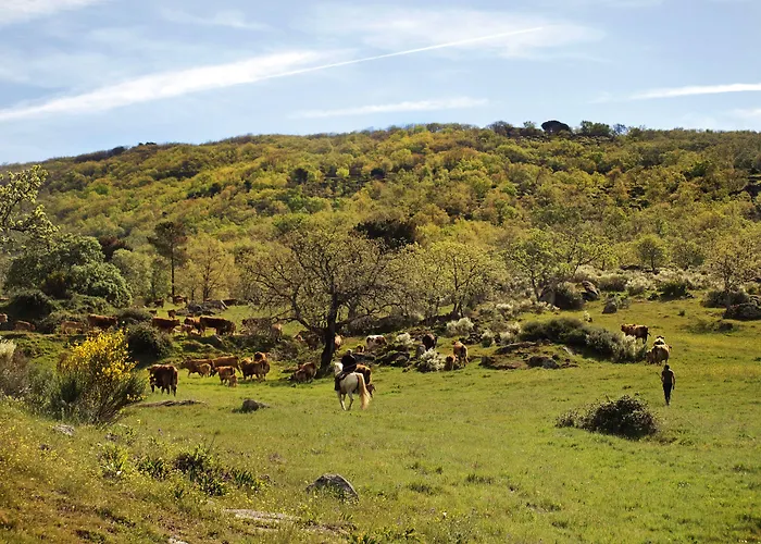 El Cabezo Hotel Eljas
